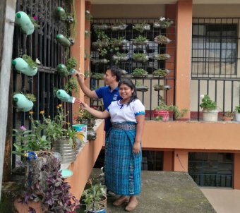 jardinizacion-escolar