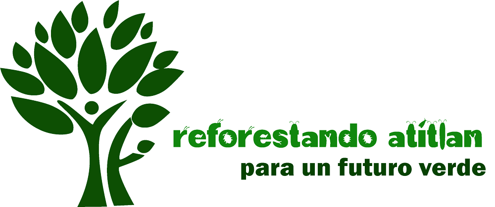 reforestando-atitlan-para-un-futuro-verde reforestando-atitlan-para-un-futuro-verde