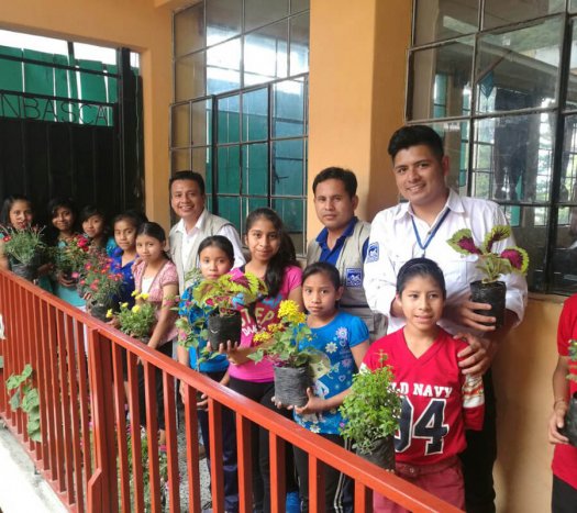 siembras-educativas-de-tul-y-arboles